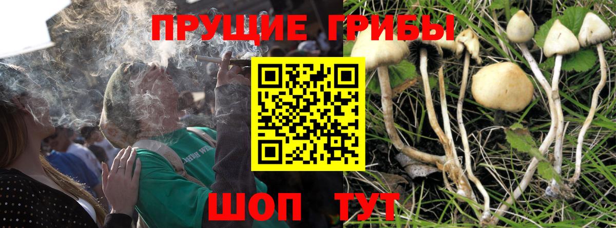 Псилоцибиновые грибы GOLDEN TEACHER Усолье-Сибирское