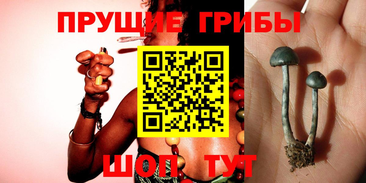 Галлюциногенные грибы MAGIC MUSHROOMS  Вход с VPN  Усолье-Сибирское 